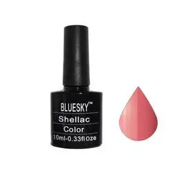 Bluesky shellac 40511