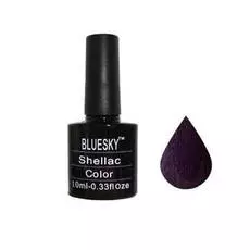 Bluesky shellac 40543