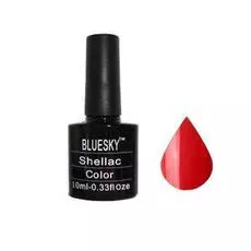 Bluesky shellac 40552
