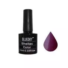 Bluesky shellac 40580