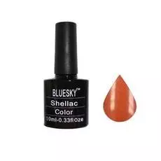 Bluesky shellac 40583