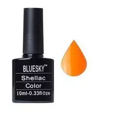 Bluesky shellac neon 04