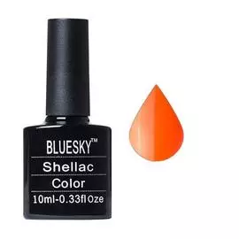 Bluesky shellac neon 22