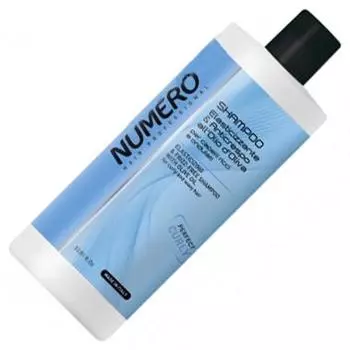 Brelil NUMERO ELASTIC and FRIZZ-FREE Шампунь для моделирования 1000мл.