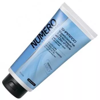 Brelil NUMERO ELASTIC and FRIZZ-FREE Шампунь для моделирования 300 мл.