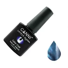 Canni cat eye color coat магнитный гель лак №287
