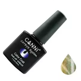 Canni chameleon cat eye color coat магнитный гель лак №459
