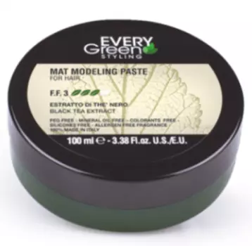 EVERY GREEN Матовая Паста 100мл/Mat Paste For Hair
