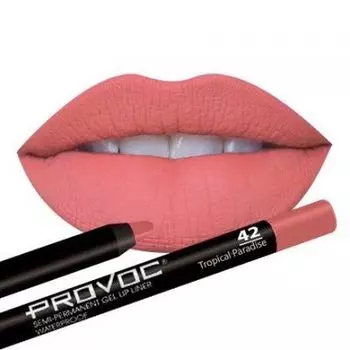 PROVOC Lip Liner 42 Гелевая подводка в карандаше для губ