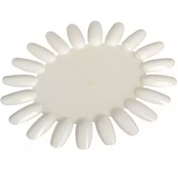 TNL, Палитра, Ромашка, матовая