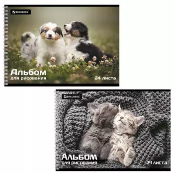 альбом для рисования BRAUBERG Питомцы 24л А4