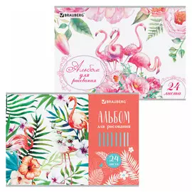 альбом для рисования Фламинго 24л 2 дизайна