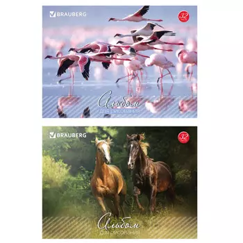 альбом для рисования Живая природа 32л 2 дизайна