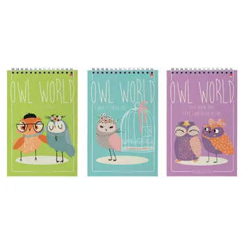 блокнот АЛЬТ Мультики Совы 40л клетка А5 гребень в асс-те