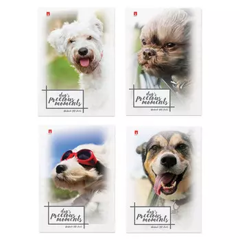 блокнот АЛЬТ Животный мир Щенки 40л клетка А7 в асс-те