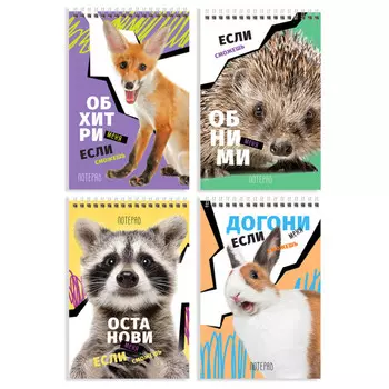 блокнот BG Если сможешь А6 40л на гребне