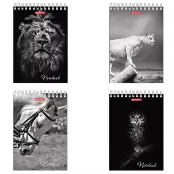 блокнот BRAUBERG Животные А5 60л клетка гребень