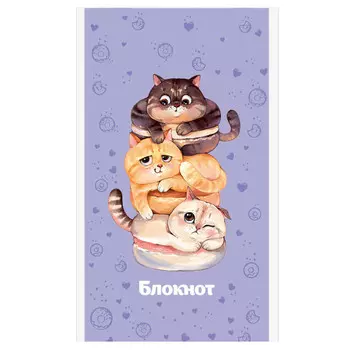 блокнот Котопончики А6 40 л скоба