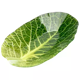 блюдо Leaf Lettuce 13х23 см, стеклянное