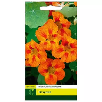 cемена Настурция низкорослая Везувий СЕВЕРНЫЙ ОГОРОД 1г