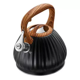 чайник REGENT INOX 3л со свистком, нерж.сталь, индукция