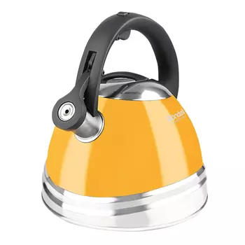 чайник RONDELL Sole 3л нерж.сталь со свистком