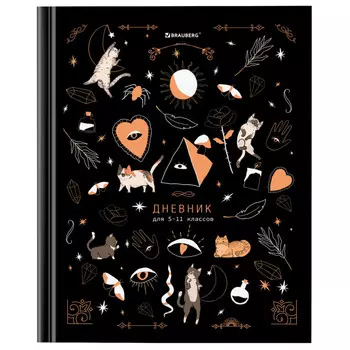 дневник 5-11 класс BRAUBERG Astro cats 48л твердый