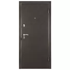 дверь входная ЛАЙН 1 980х2066х66мм правая металл серебрянный антик/беленый дуб