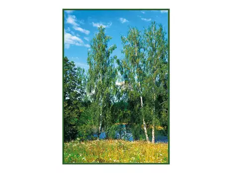 фотообои 134х196см Березки #10, арт.134b