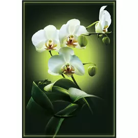 фотообои 134х196см Лунная соната, арт. 160лс