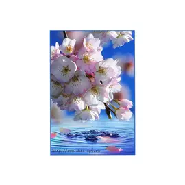 фотообои 134х196см Утренняя свежесть #1, арт.134ус