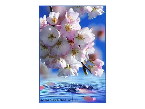 фотообои 134х196см Утренняя свежесть #1, арт.134ус