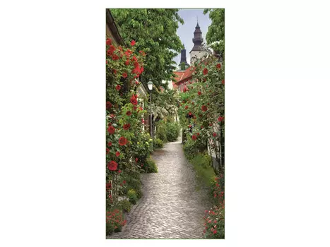 фотообои 134х260см Пражская улочка, арт.255