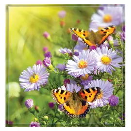фотообои 196х201см Бабочки, арт.197б