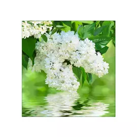фотообои 196х201см Белая сирень, арт.250