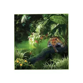 фотообои 196х201см Джунгли #26, арт.196д