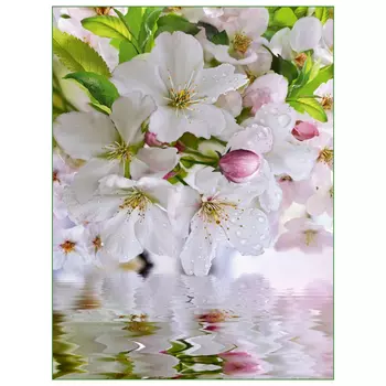 фотообои 196х260см Яблоневый цвет, арт.239