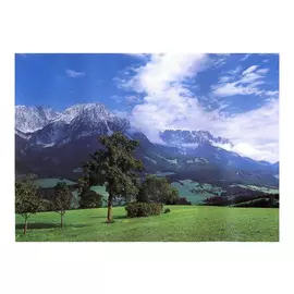 фотообои 294х201см Альпийский луг #79, арт.294U