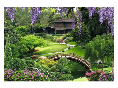 фотообои 294х201см Китайский парк, арт.261