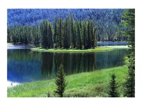 фотообои 294х201см Таежное озеро #11, арт.294ll