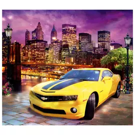 фотообои 294х260см Стрит рейсинг, арт.282