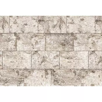 фотообои KOMAR бумажные 368х254cм Bjork, арт.8-740