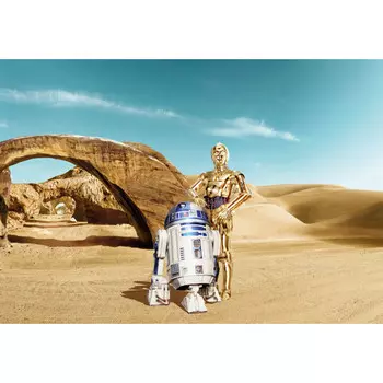 фотообои KOMAR бумажные 368х254см Star Wars Lost Droids, арт.8-484