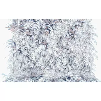 фотообои KOMAR бумажные 368х254см Vertical Garden, арт.8-878