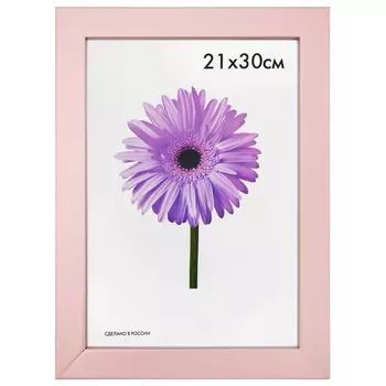 фоторамка FIONA 210х300мм розовая дерево