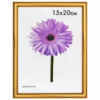 фоторамка MARIA 150х200мм золото пластик