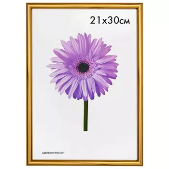 фоторамка MARIA 210х300мм золото пластик