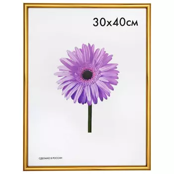 фоторамка MARIA 300х400мм золото пластик