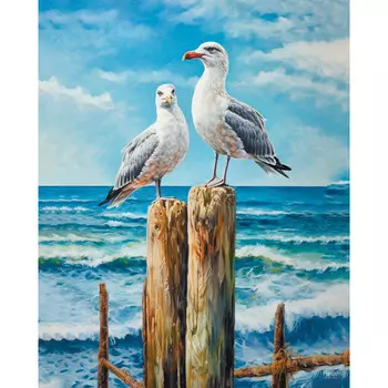 картина на холсте Морские птицы 400х500мм