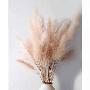 картина на холсте Нежная поэзия 3 400х500мм